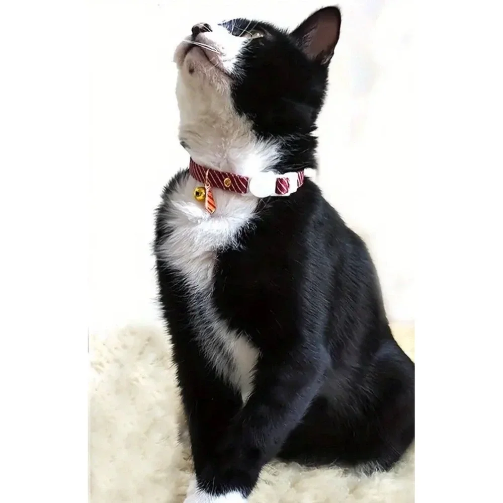Burgundy Cat Collar With Neck Tie Charm, Breakaway Safety Clasp -‎ Kitten Bell